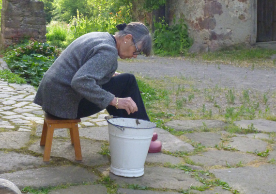 Naturnahe Gartenpflege vom Profi in Mannheim