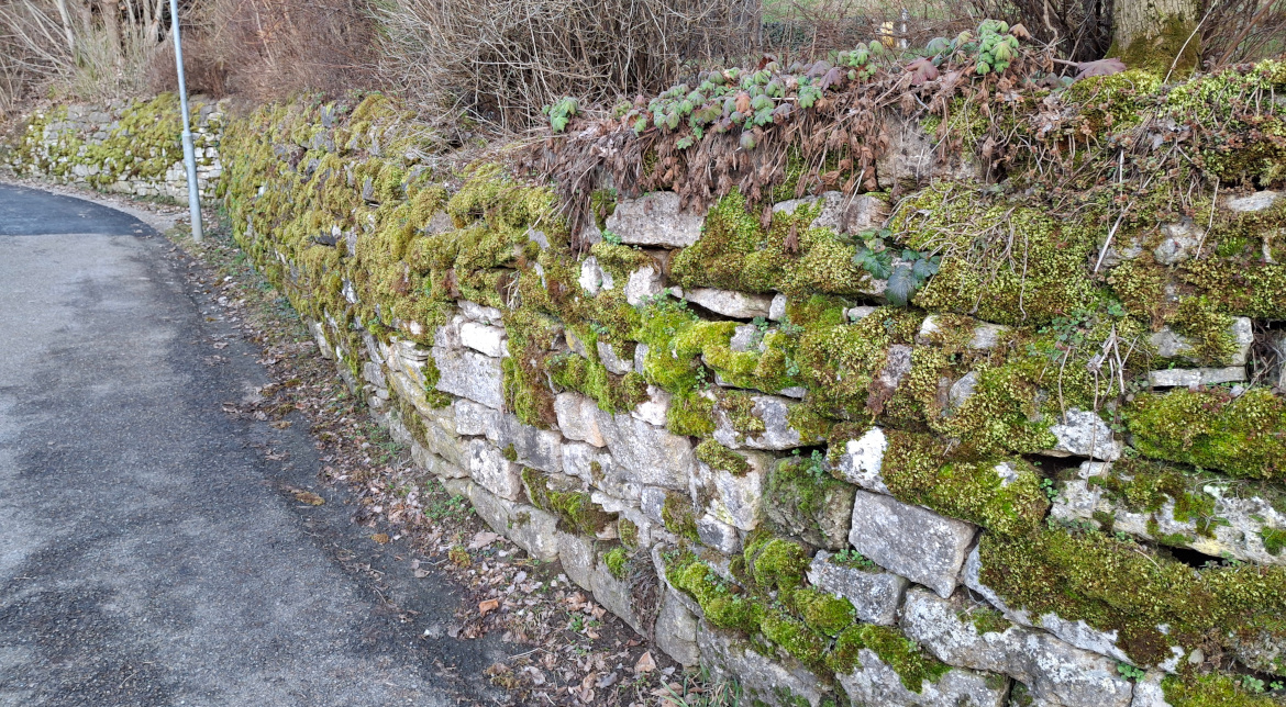 Traditionelle Trockenmauer als Stützmauer im Gelände