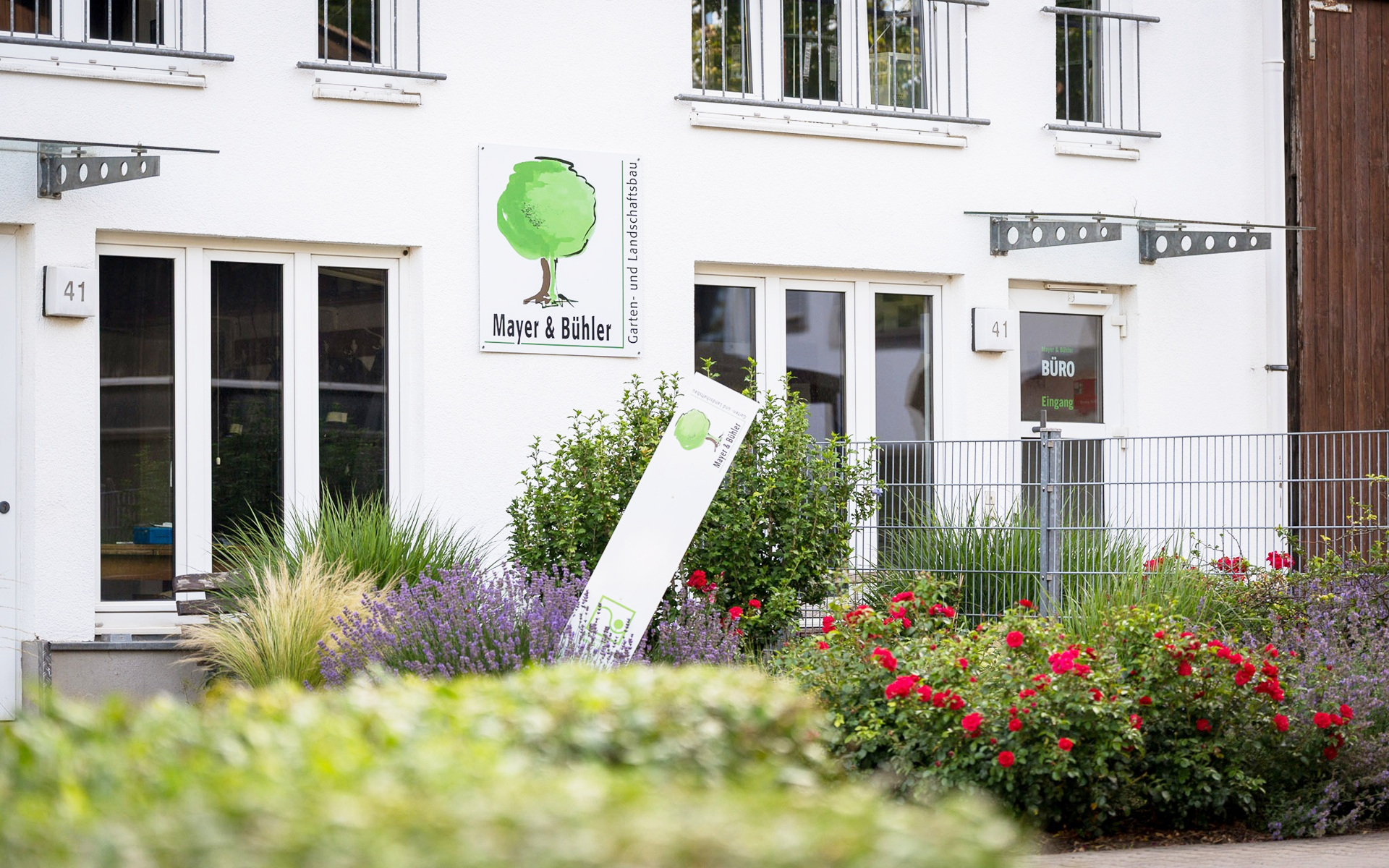 Baumschnitt, Baumpflege, Garten, Gärtner, Galabau, Landschaftsbau, Mannheim, Heidelberg, Pflasterarbeiten, Vorgarten, automatische Beregnungsanlage,  Bewässerungstechnik, Gartenbewässerungssystem, Rollrasen,  Tröpfchenbewässerung. Baumpflanzung