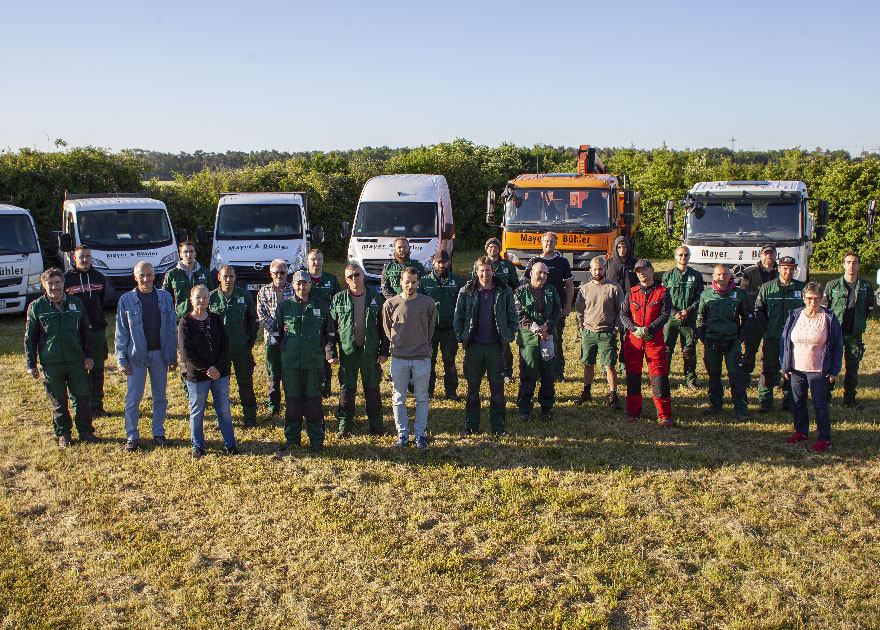Baumschnitt, Baumpflege, Garten, Gärtner, Galabau, Landschaftsbau, Mannheim, Heidelberg, Pflasterarbeiten, Vorgarten, automatische Beregnungsanlage,  Bewässerungstechnik, Gartenbewässerungssystem, Rollrasen,  Tröpfchenbewässerung. Baumpflanzung